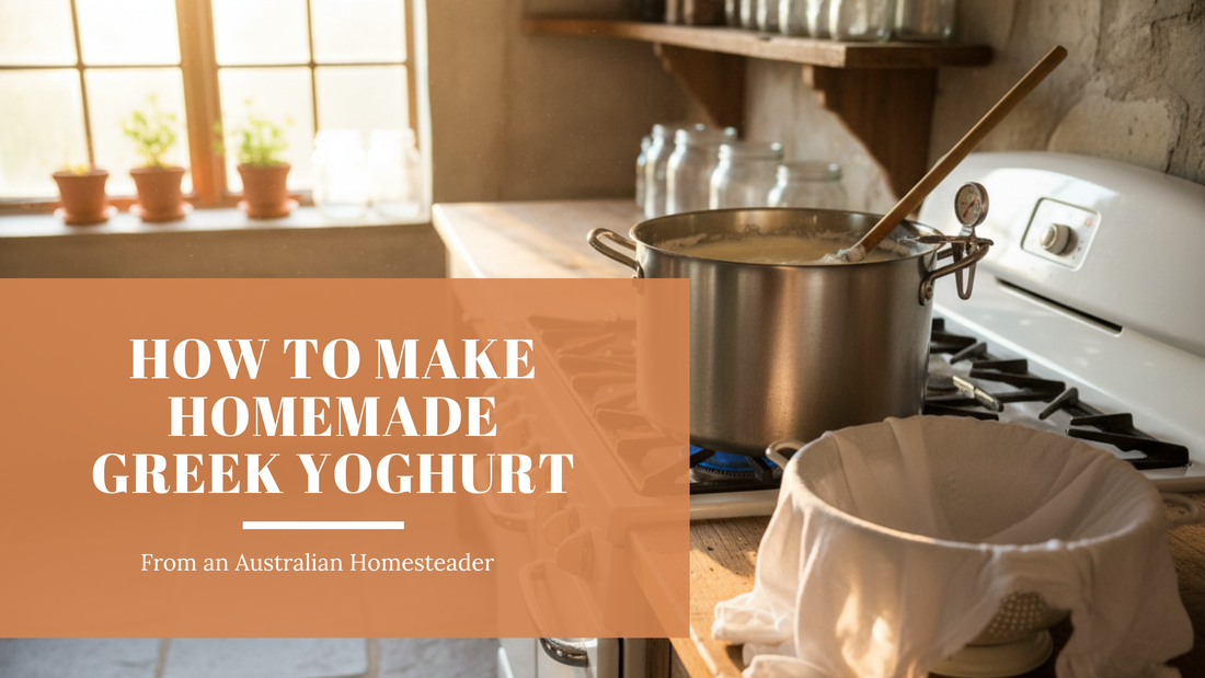 How to Make Homemade Greek Yoghurt on the Stove