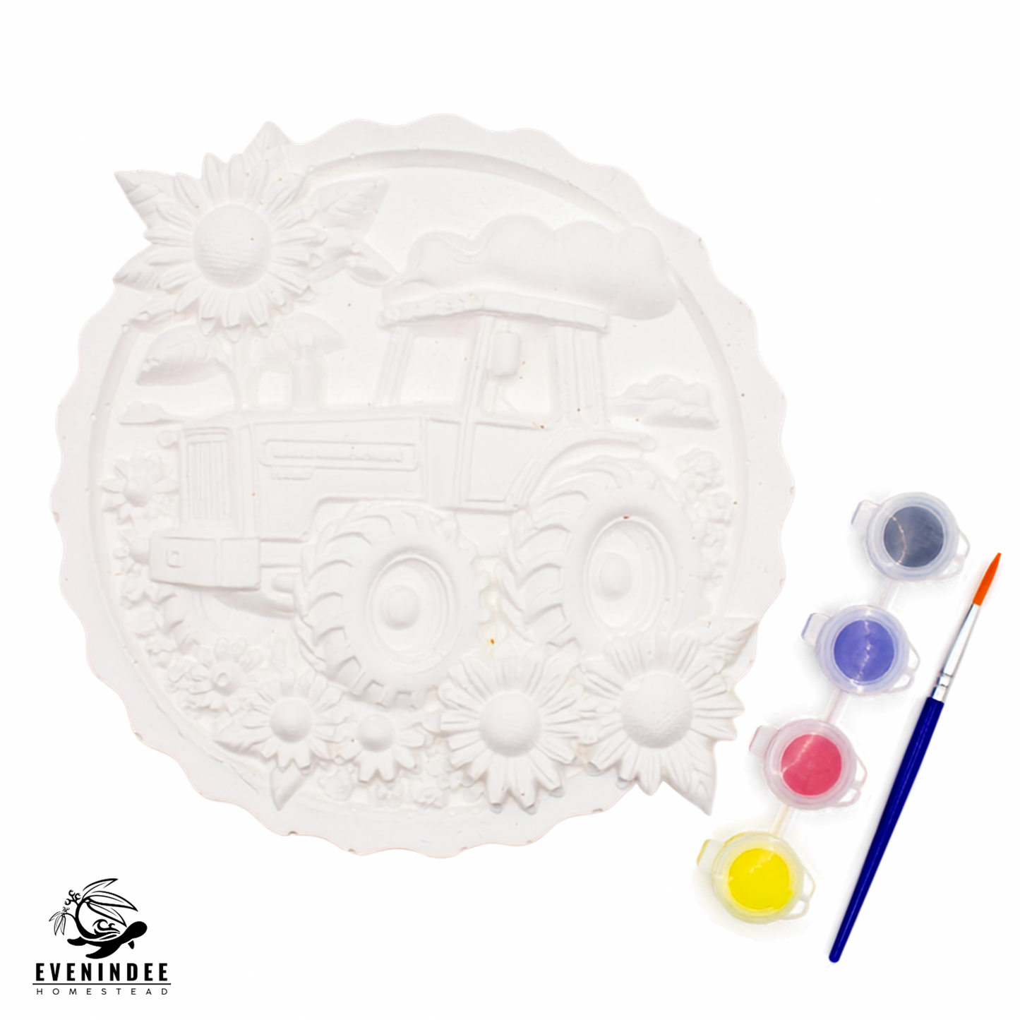 Plaster of Paris Kits