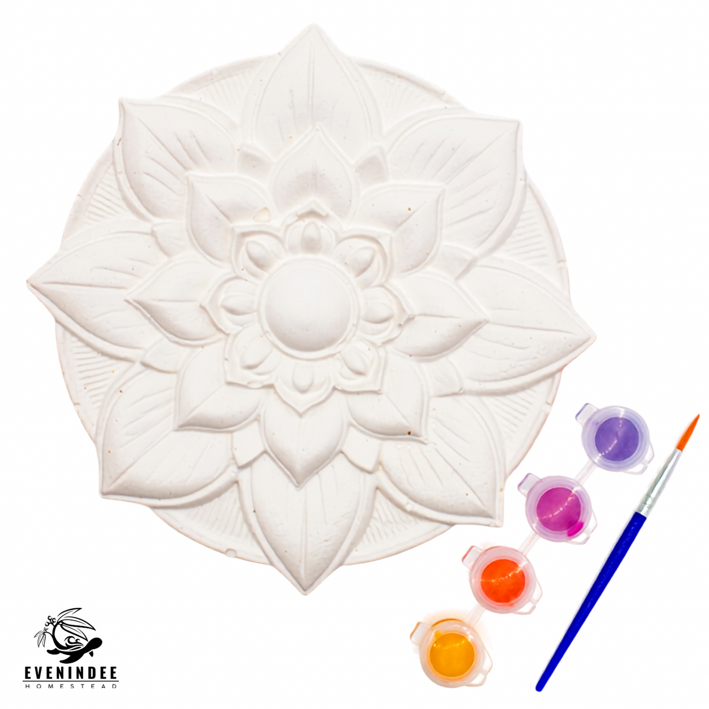 Plaster of Paris Kits
