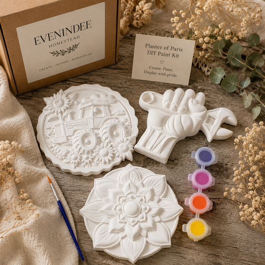 Plaster of Paris Kits