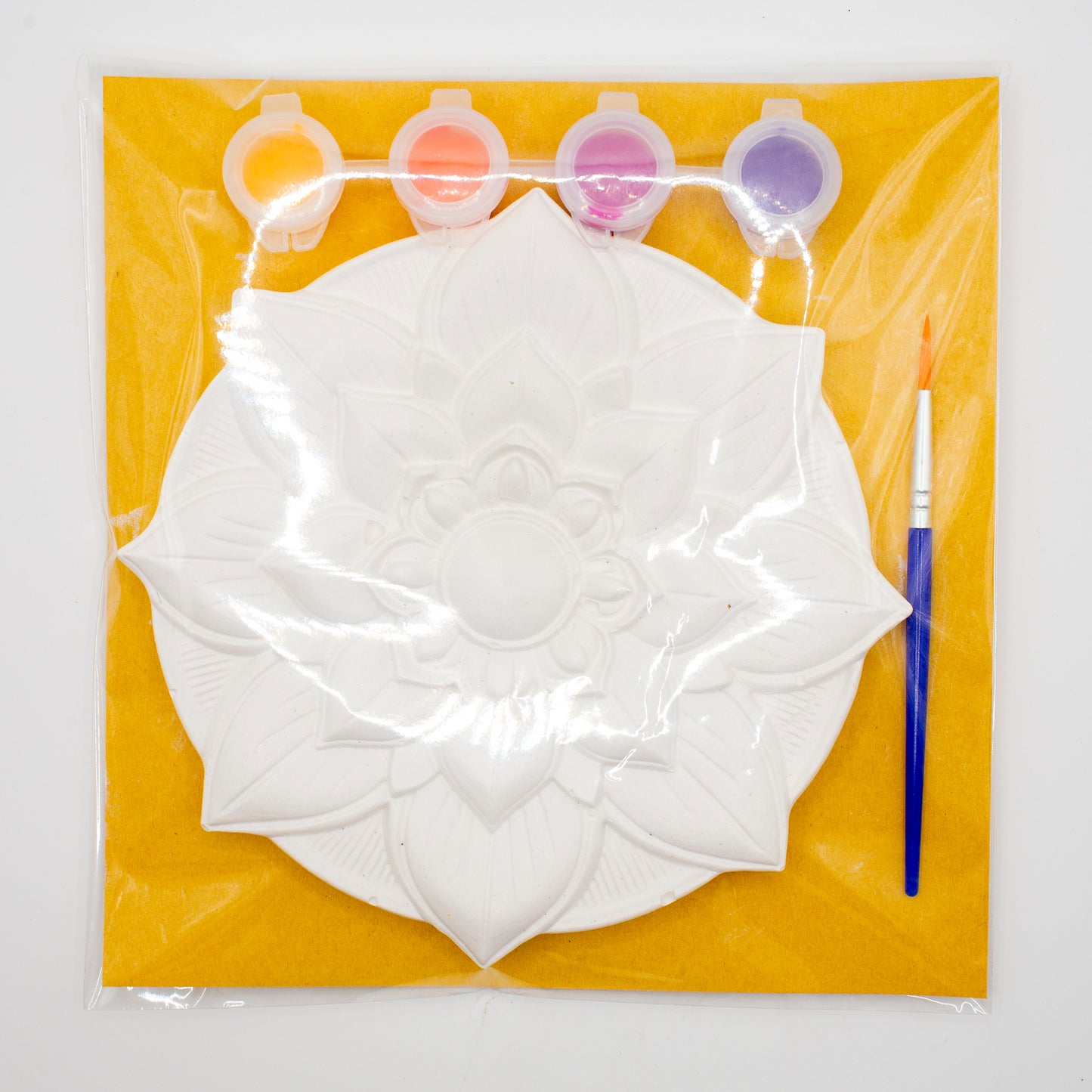 Plaster of Paris Kits