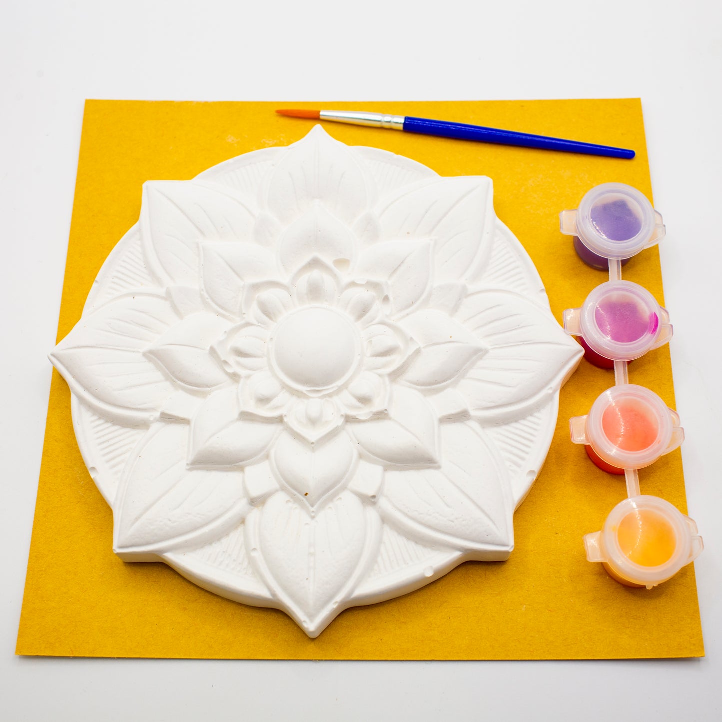Plaster of Paris Kits