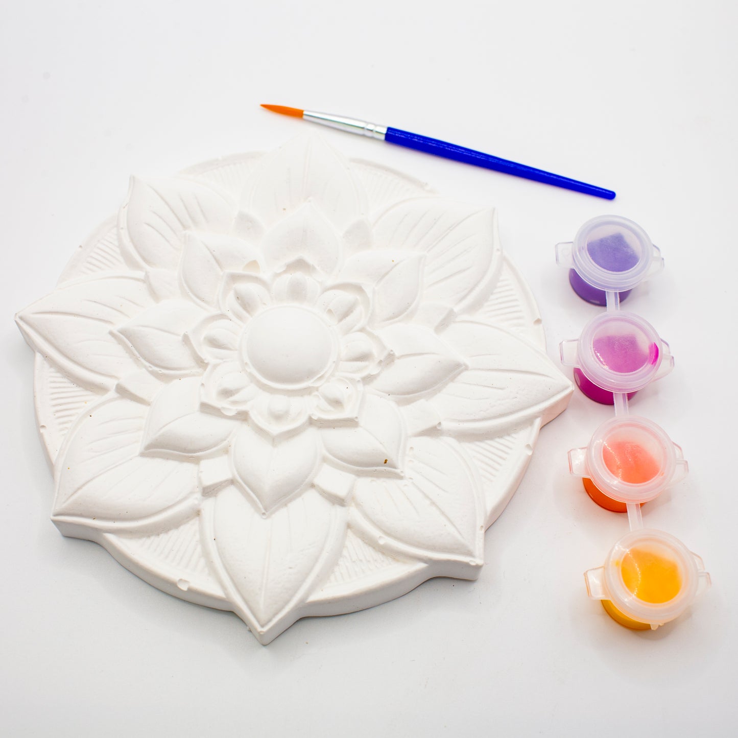 Plaster of Paris Kits