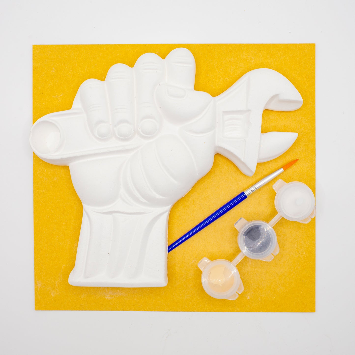 Plaster of Paris Kits