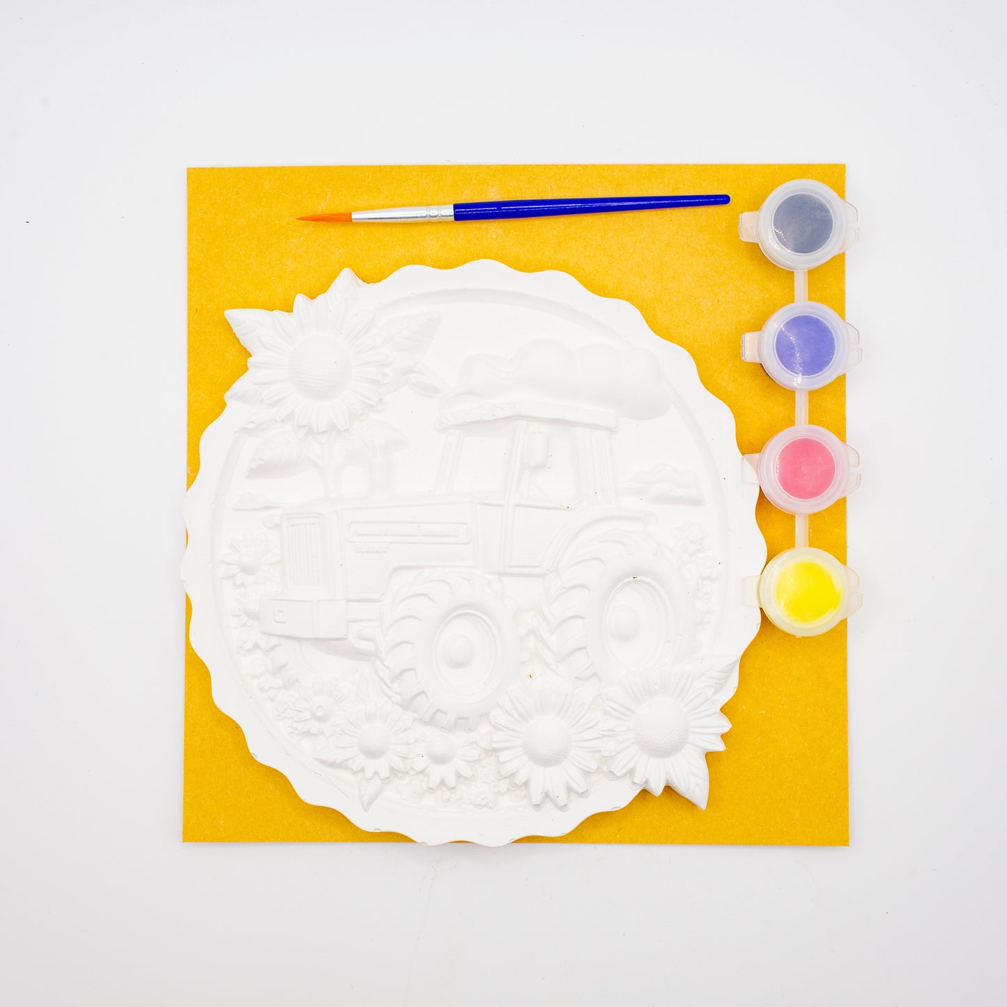 Plaster of Paris Kits