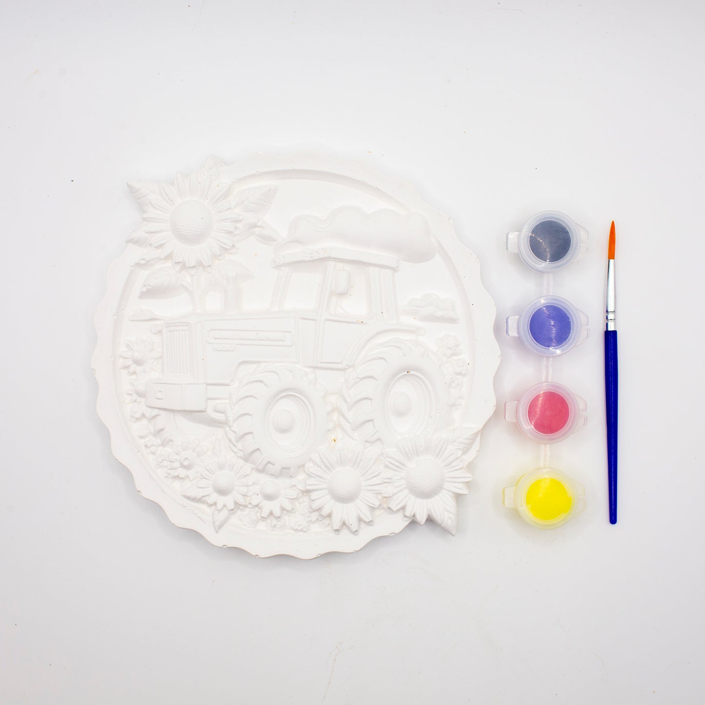 Plaster of Paris Kits