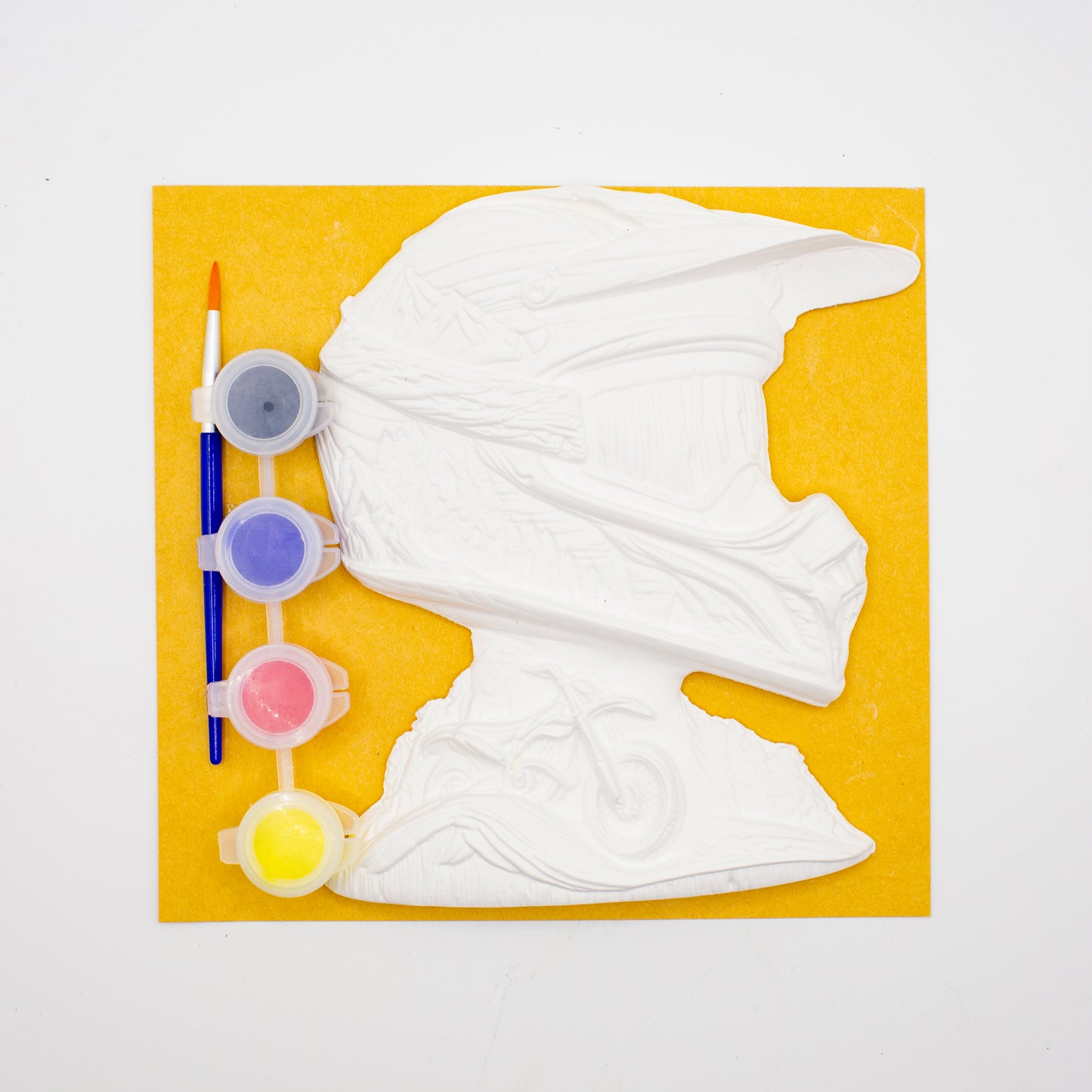 Plaster of Paris Kits