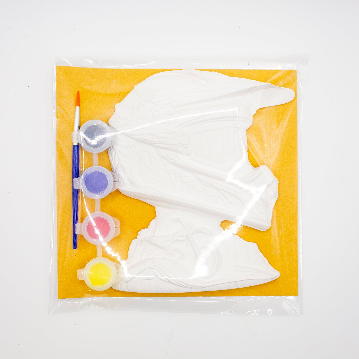 Plaster of Paris Kits
